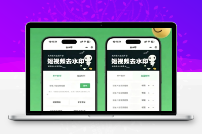 去水印小程序源码v1.6.5 微信流量主变现短视频解析小程序完整源码