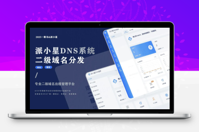 派小星DNS二级域名分发公测免费版源码