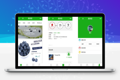 PHP微信拼团商城小程序源码 完整购物商城系统源码