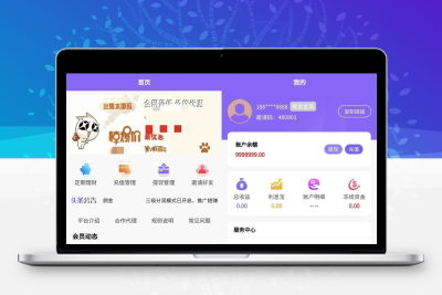 V8京东淘宝自动抢单系统源码 含利息宝会员功能附视频教程