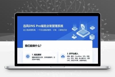 迅风DNS Pro二级域名分发V2.3.3源码 多服务商API解析站群管理系统