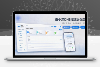 白小泽DNS域名分发系统v1.0.0公测版 PHP+Vue3二级域名分发平台