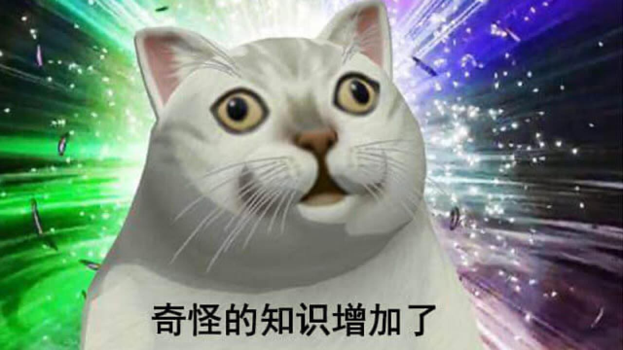 【PS教程】4个神奇的PS技巧，学到就是赚到！