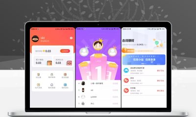 完整运营版任务悬赏系统源码_仿众人帮任务平台_VUE前后端源码支持对接API