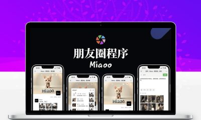 Miaoo朋友圈程序全开源版源码 PHP仿微信朋友圈带后台可二次开发
