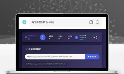 PHP视频解析网页系统 带完整前后端卡密管理源码