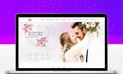 婚纱摄影婚礼主题网站模板 婚庆婚纱照客片套餐预约自适应HTML源码