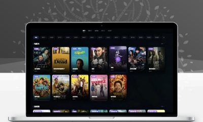 NewCloud TV自动采集影视站源码 PHP聚合影视建站程序