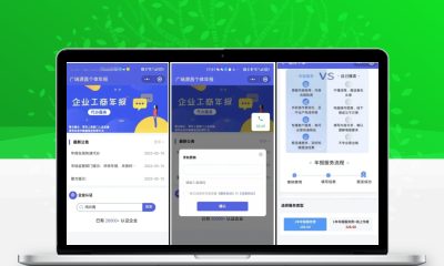 企业年报服务系统 小微服务助手电销年报系统 企业年审申请管理源码