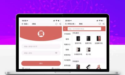 麦淘商城系统源码 全功能电商平台 可直接运营