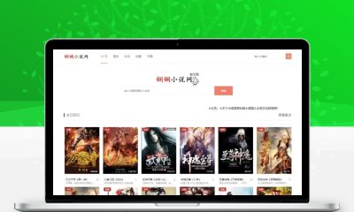 PHP娴娴小说网站源码 PC+WAP自适应建站程序