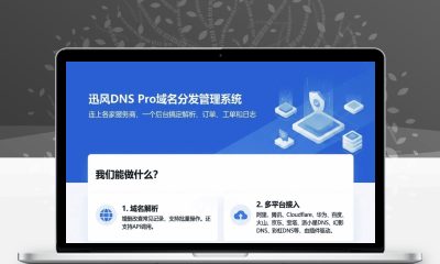 迅风DNS Pro二级域名分发V2.3.3源码 多服务商API解析站群管理系统