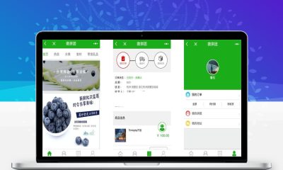 PHP微信拼团商城小程序源码 完整购物商城系统源码
