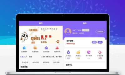V8京东淘宝自动抢单系统源码 含利息宝会员功能附视频教程