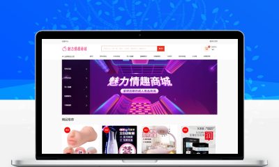 2026最新成人情趣商城系统源码 开源全套商城源码