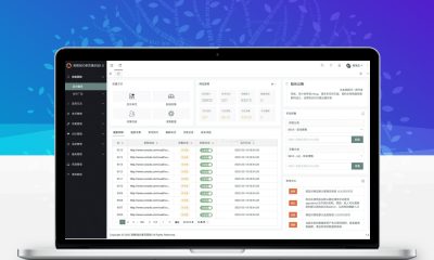 孜然SEO单页引流系统1.0 自动裂变URL静态单页生成源码