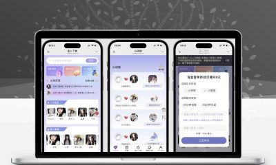 树洞陪玩盲盒源码最新版 多功能自定义付费交友盲盒系统