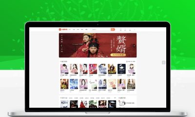 PTCMS听书系统源码二开修复版 PC+H5自适应在线有声小说网站