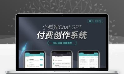 小狐狸AI创作系统3.1.2无授权源码｜免授权开源部署