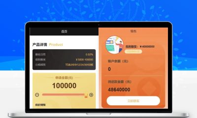 开源版中文越南语贷款源码 运营级网贷系统源码完整搭建