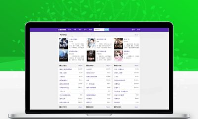 新版小说泛目录站群系统源码 小说站群海量关键词霸屏SEO优化