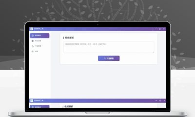 多平台短视频解析去水印v3.0 程序源码+在线解析工具