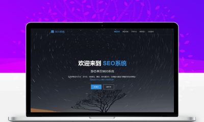 SEO站群系统源码免授权版 单页关键词排名批量建站程序