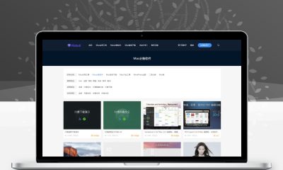 日主题V3.3官网最新版 WordPress付费资源主题 去除域名授权