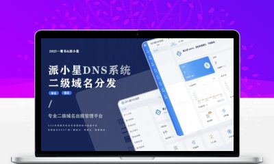 派小星DNS二级域名分发公测免费版源码