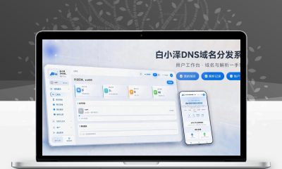 白小泽DNS域名分发系统v1.0.0公测版 PHP+Vue3二级域名分发平台