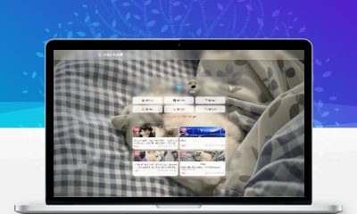 全栈情侣博客 宠物记录站点源码
