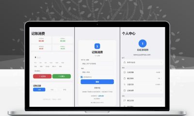 个人记账系统源码 日常收支消费记账管理系统自适应端