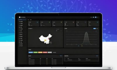 鼠大侠授权系统V2.0最新版下载 一机一码网络验证源码