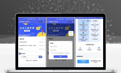 企业年报服务系统源码 小微年审电销代办订单管理全功能