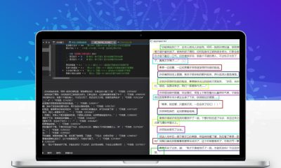 PaddleOCRv5 文字识别 易语言完整调用源码