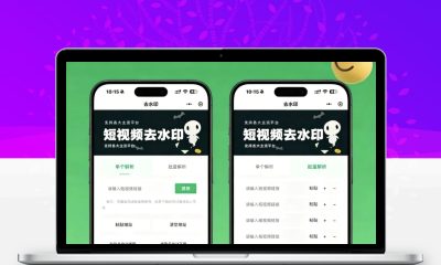去水印小程序源码v1.6.5 微信流量主变现短视频解析小程序完整源码