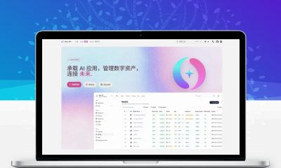 New-API AI模型聚合中转系统源码|多渠道KEY聚合分发管理程序