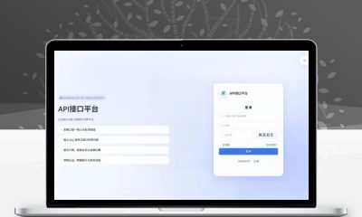 楠枫解析计费系统Java+Vue接口计费源码
