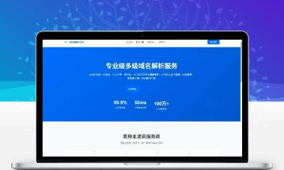 多级域名分配管理平台源码 DNS分发系统V1.001