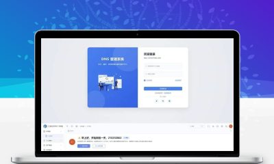 迅风DNS Pro二级域名分发系统最新开心版源码