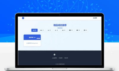 米表系统源码 自适应域名出售平台 带简易后台管理域名交易程序
